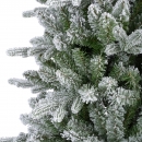    Killington fir Frosted 240  