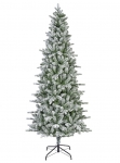    Killington fir Frosted 240  