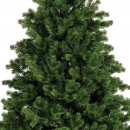    Hollimont fir 240  