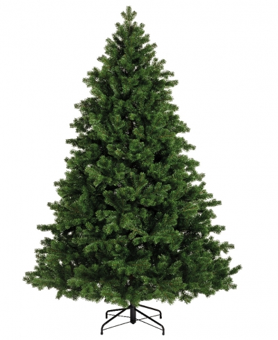   Hollimont fir 240 
