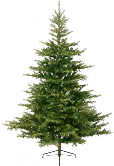   Grandis Fir 270 