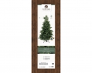    Geneva fir 210  