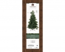    Geneva fir 240  