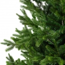    Nordmann fir 210  