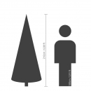   Nordmann Fir 210  
