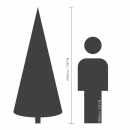    Nordmann Fir  240  