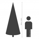    Nordmann Fir  300  