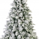    Lausanne fir  240  