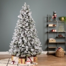    Lausanne fir  240  