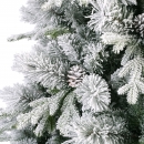    Lausanne fir  240  