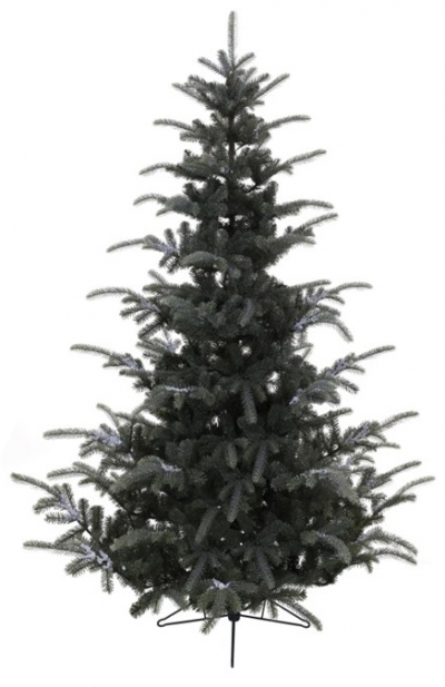   Frosted Omorika Fir Pvc 240 .