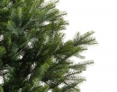    Pre-shaped Arlberg fir 210  