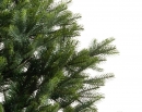    Pre-shaped Arlberg fir  300  