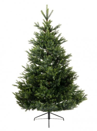   Pre-shaped Arlberg fir  300 