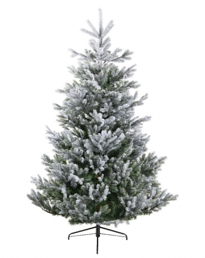   Pre-shaped   Arlberg fir  300 