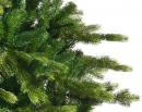    Galloway Spruce  300  