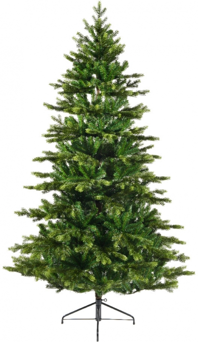   Galloway Spruce  300 
