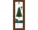    Sunpeaks fir 240  