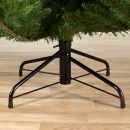    Norway spruce 210  