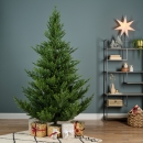    Norway spruce 210  