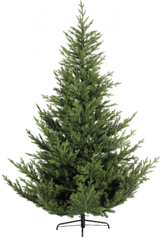   Pre-shaped Norway Spruce 210 