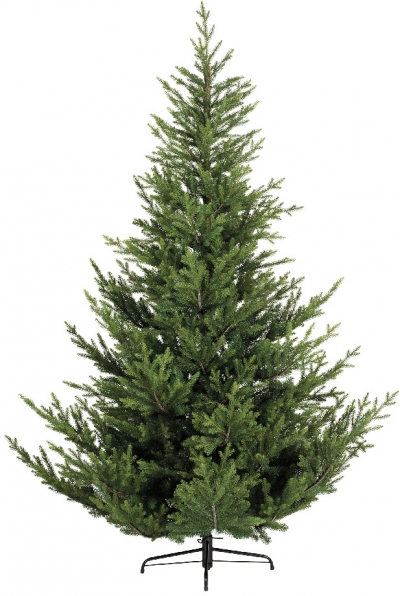   Pre-shaped Norway Spruce 210 