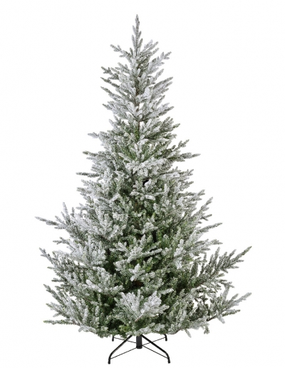    Norway spruce 210 