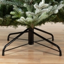     Norway spruce 240  