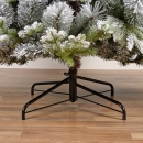    Lausanne fir  210  