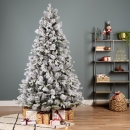    Lausanne fir  210  