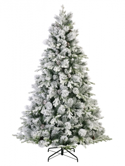   Lausanne fir  210 