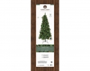    Norwich pine 210  
