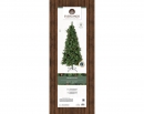    Norwich pine 240  