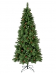    Norwich pine 240  