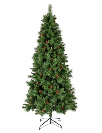   Norwich pine 240 