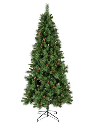  Norwich pine 240 