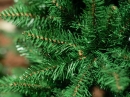    Lodge Slim Pine 360  