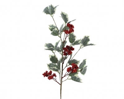     Berries 68