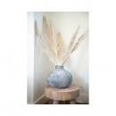    Pampas 115 x 10 