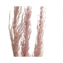    Pampas 10 x 115 