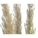    Pampas 10 x 115 