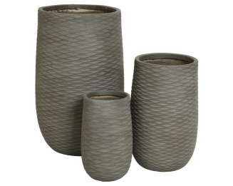 ������������ ������ ������� �24,5�� x 39,5��