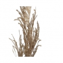    Pampas 22 x 102 