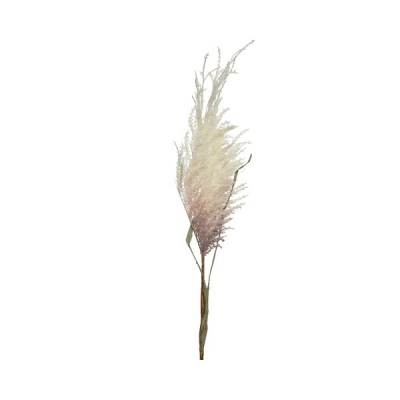   Pampas 102 x 22