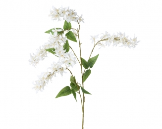 ������������ ����� ���� 110��