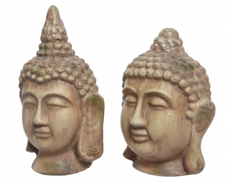 ������������ ������ ����� 26.7 �� 2 ������