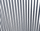  Santa Monica    Polyester Rope   