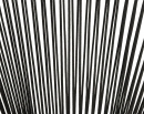  Santa Monica    Polyester Rope   