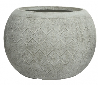 ������������ ������� �55�� x 38��