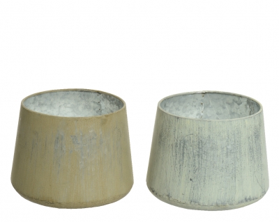   Citronella 14.5 x 13  2 